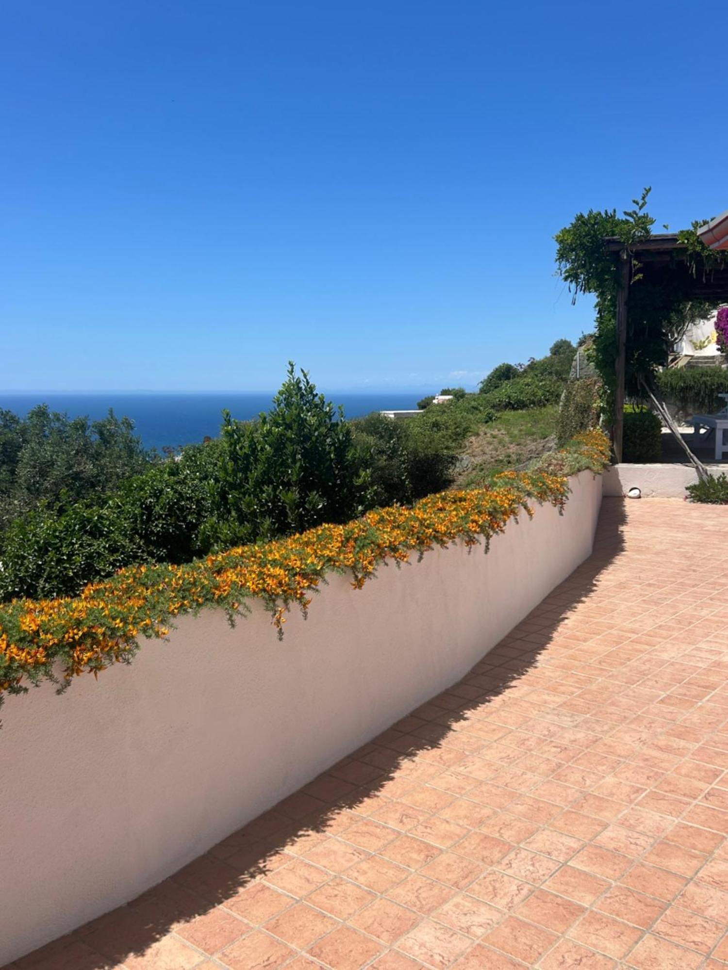 Villa Inarime Ischia Extérieur photo