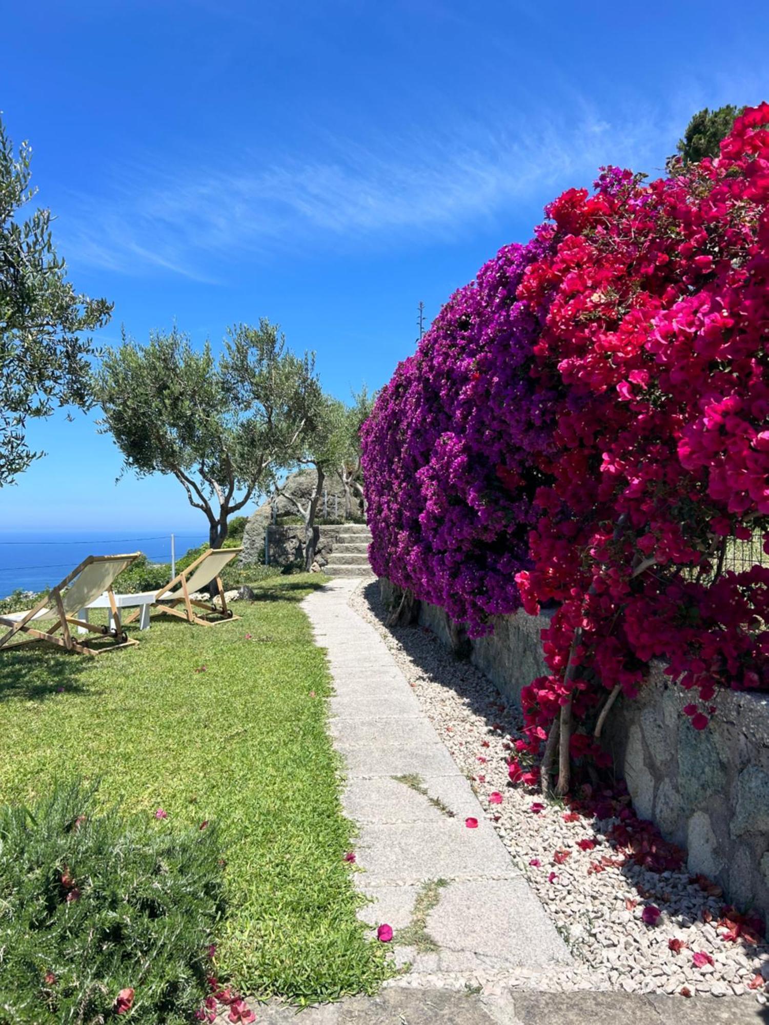 Villa Inarime Ischia Extérieur photo