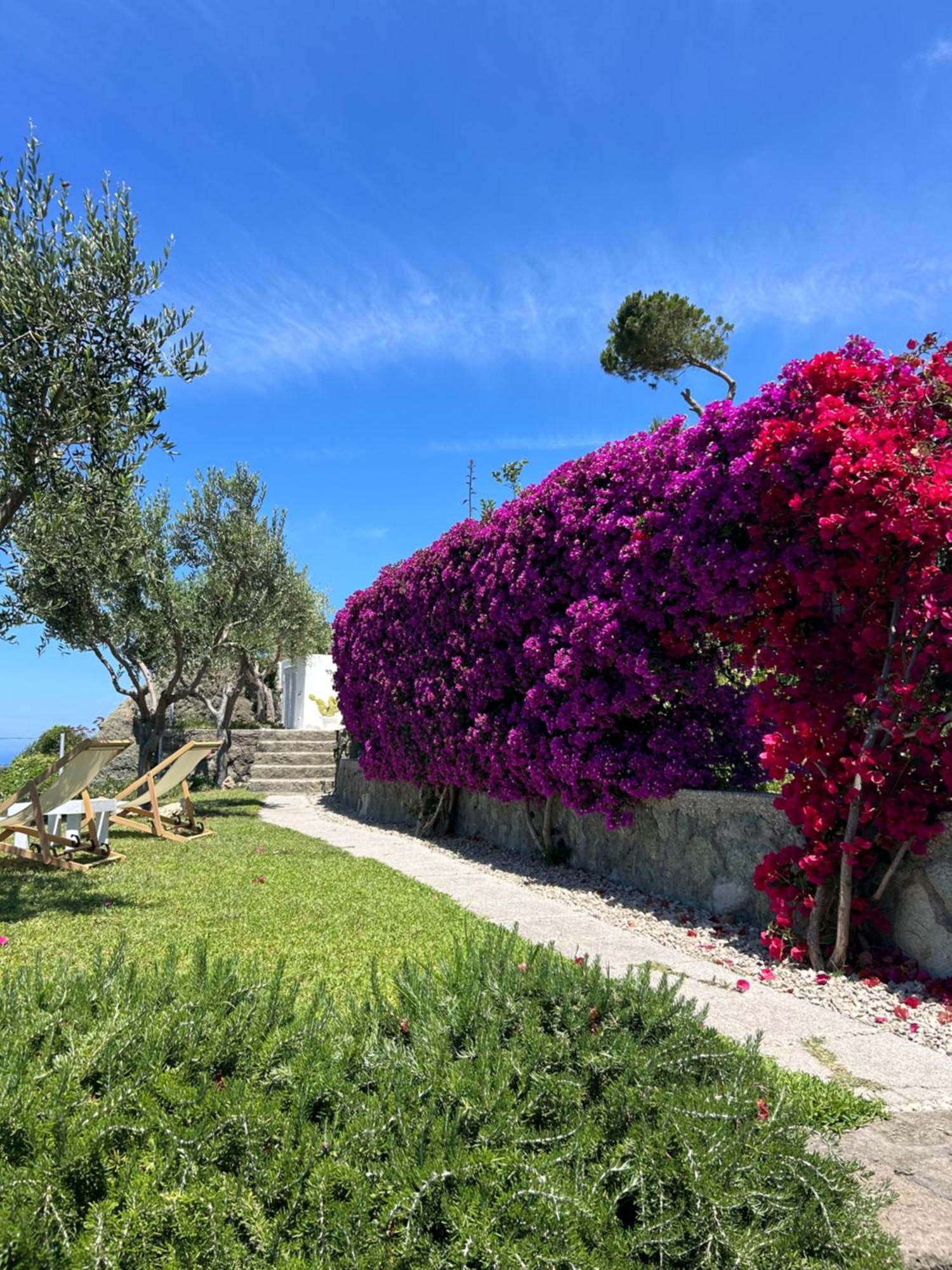 Villa Inarime Ischia Extérieur photo