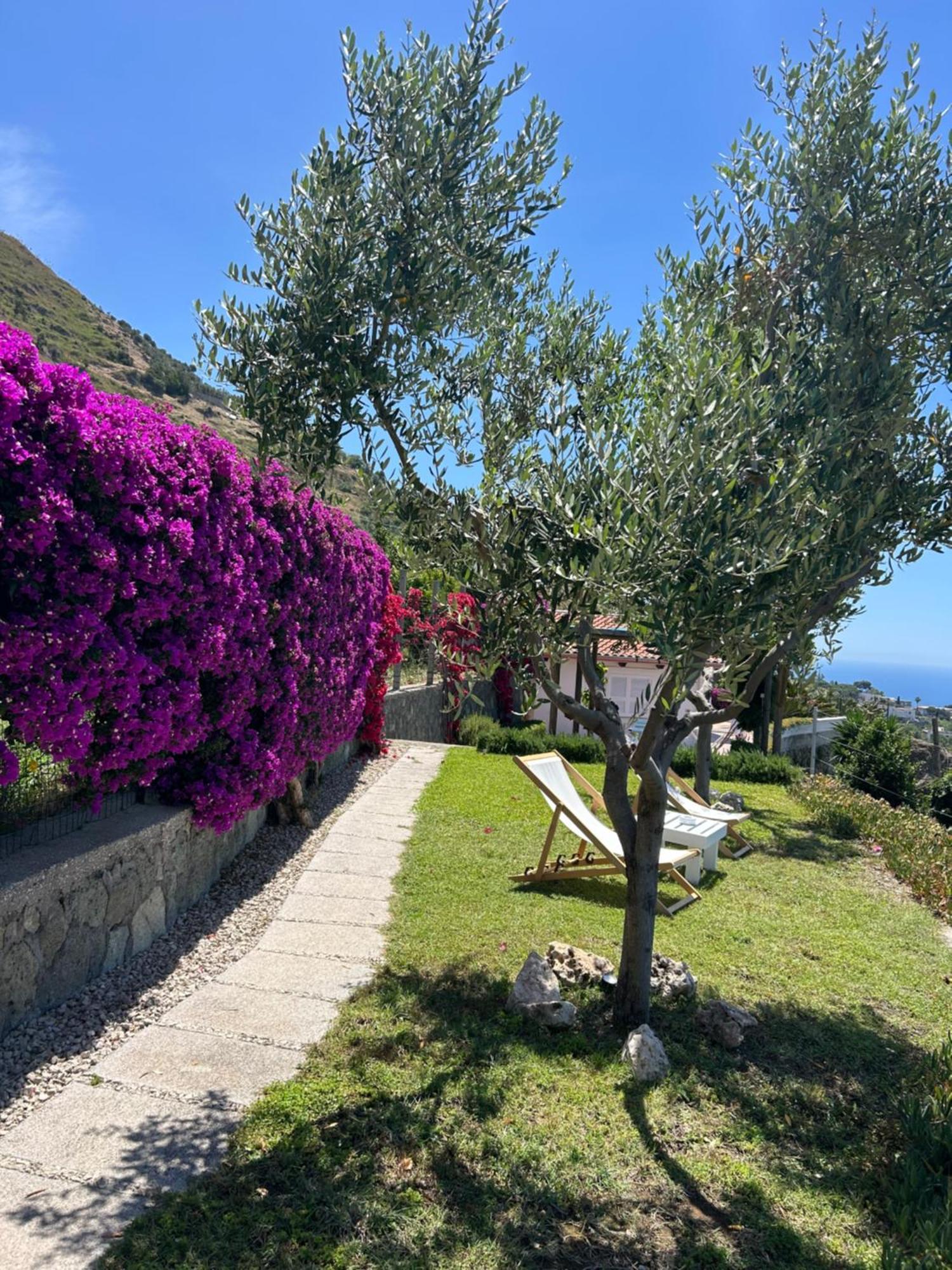 Villa Inarime Ischia Extérieur photo