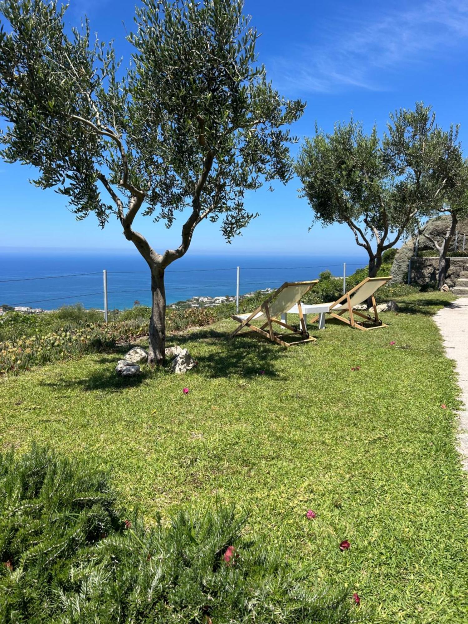 Villa Inarime Ischia Extérieur photo