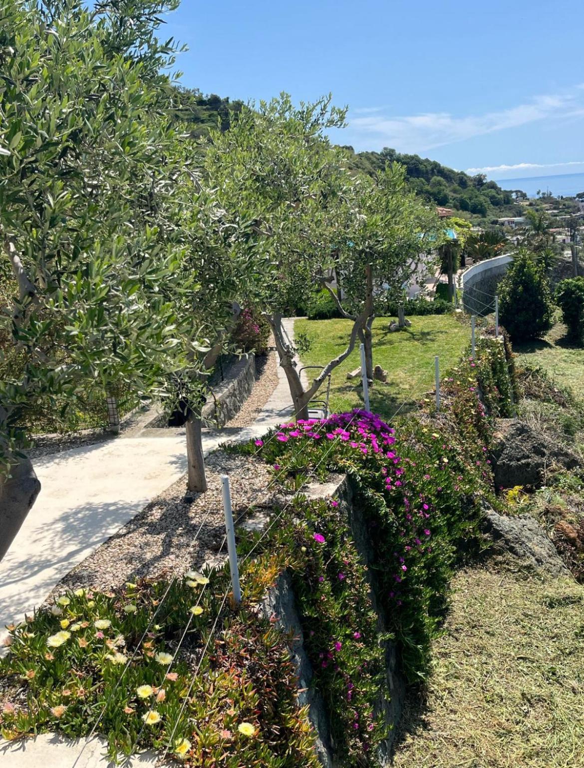 Villa Inarime Ischia Extérieur photo